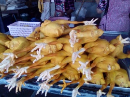 Amber-Colored Coated Chickens 4 Sale 20180401@085326.jpg